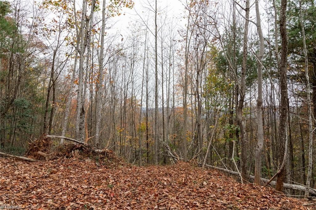 Unimproved Land at 0 TBD US Highway 421, Ferguson NC 28624, photo 16 of 42
