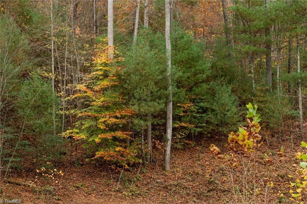 Unimproved Land at 0 TBD US Highway 421, Ferguson NC 28624, photo 12 of 42