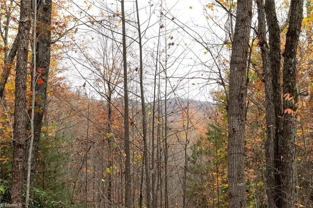 Unimproved Land at 0 TBD US Highway 421, Ferguson NC 28624, photo 22 of 42