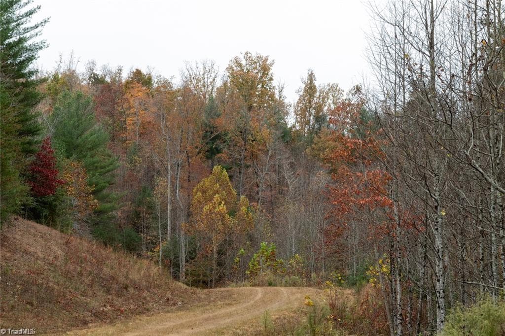 Unimproved Land at 0 TBD US Highway 421, Ferguson NC 28624, photo 7 of 42