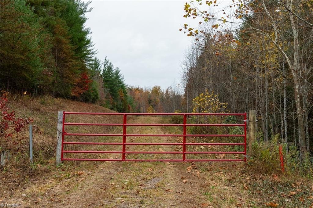 Unimproved Land at 0 TBD US Highway 421, Ferguson NC 28624, photo 3 of 42