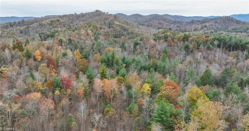 Unimproved Land at 0 TBD US Highway 421, Ferguson NC 28624, photo 36 of 42