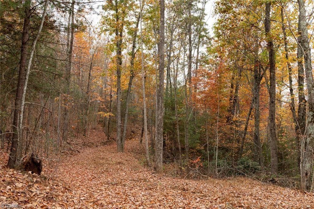 Unimproved Land at 0 TBD US Highway 421, Ferguson NC 28624, photo 32 of 42