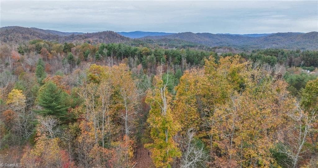 0 TBD US Highway 421, Ferguson NC 28624