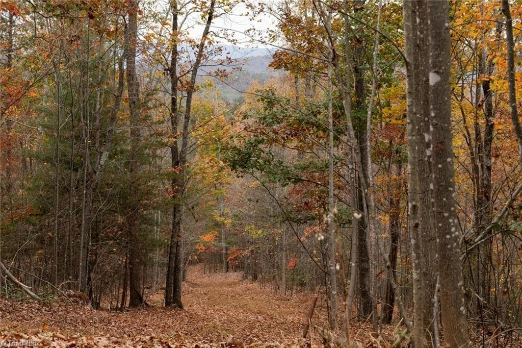 Unimproved Land at 0 TBD US Highway 421, Ferguson NC 28624, photo 28 of 42