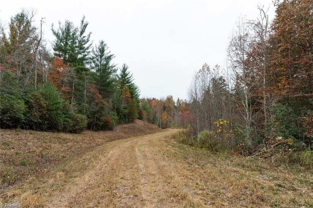 Unimproved Land at 0 TBD US Highway 421, Ferguson NC 28624, photo 5 of 42