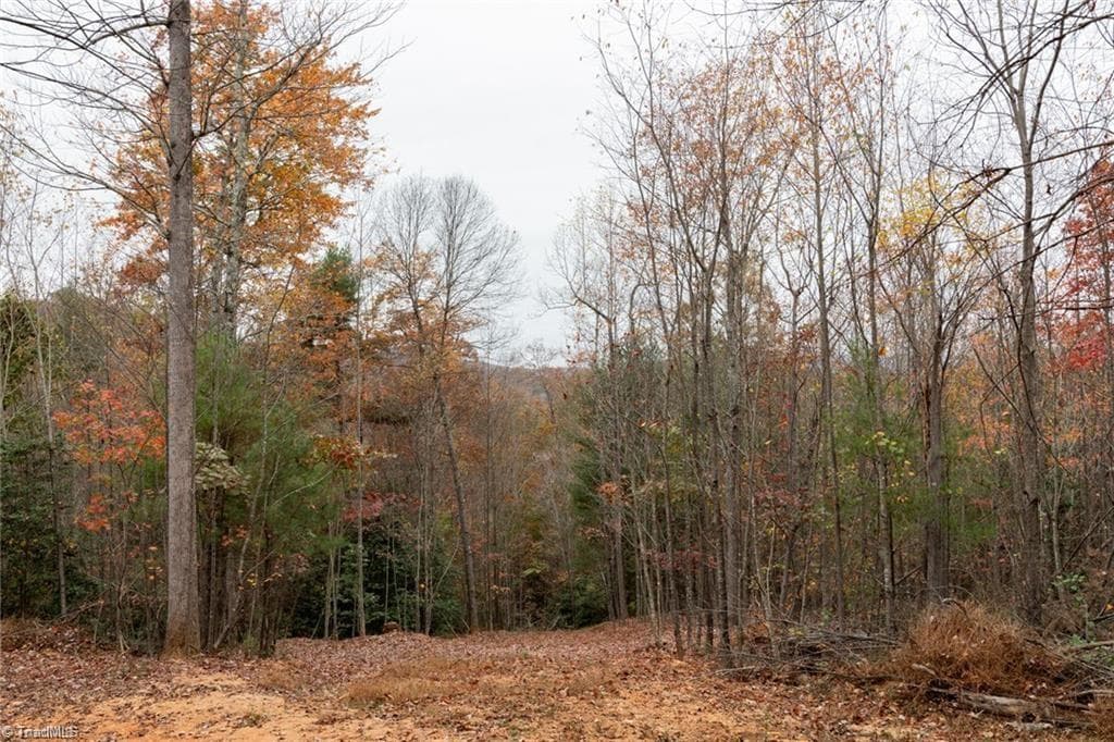 Unimproved Land at 0 TBD US Highway 421, Ferguson NC 28624, photo 20 of 42