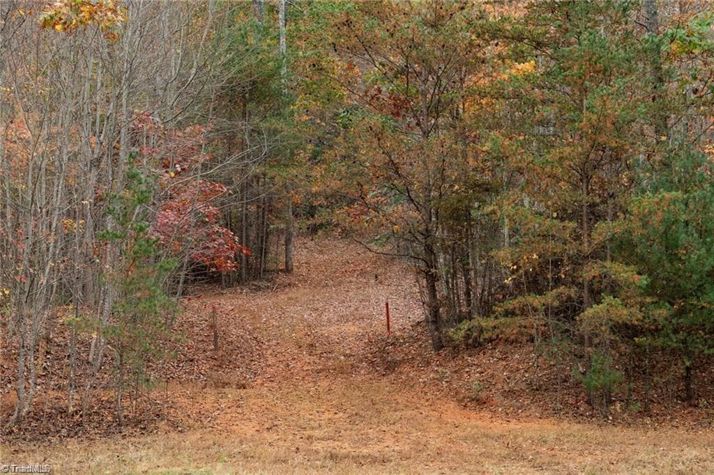 Unimproved Land at 0 TBD US Highway 421, Ferguson NC 28624, photo 9 of 42