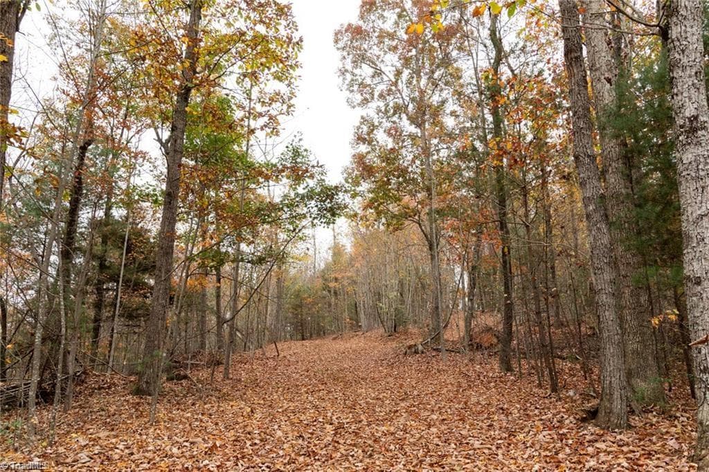 Unimproved Land at 0 TBD US Highway 421, Ferguson NC 28624, photo 24 of 42