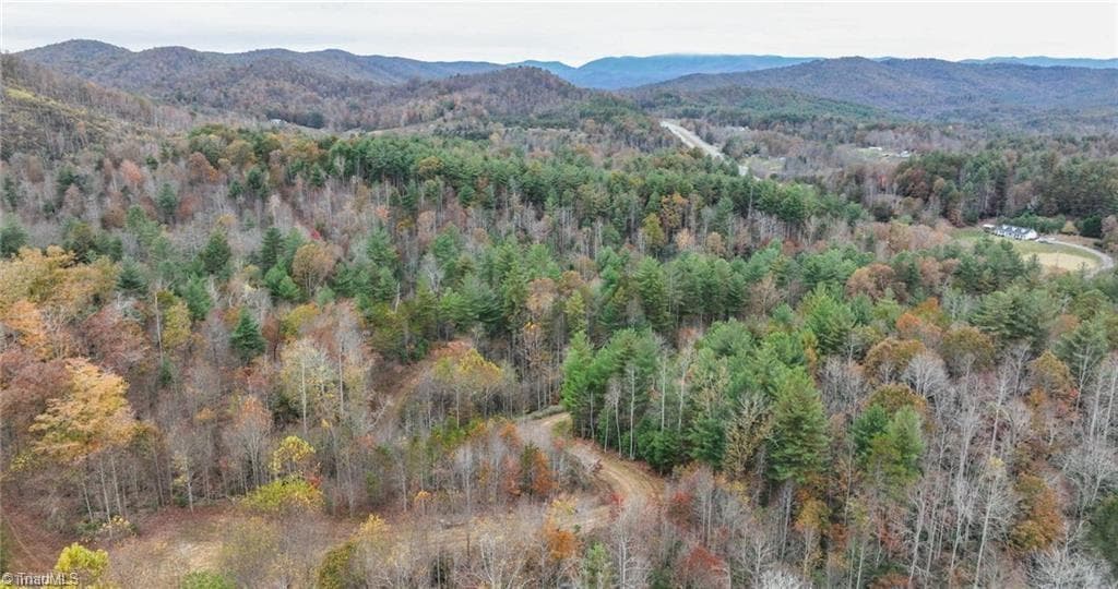 Unimproved Land at 0 TBD US Highway 421, Ferguson NC 28624, photo 34 of 42