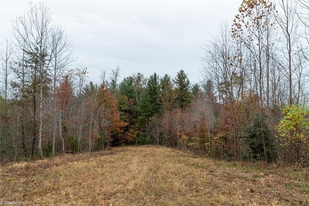 Unimproved Land at 0 TBD US Highway 421, Ferguson NC 28624, photo 10 of 42