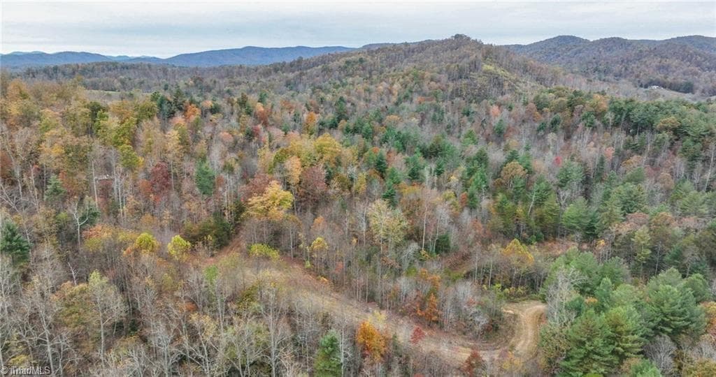 Unimproved Land at 0 TBD US Highway 421, Ferguson NC 28624, photo 33 of 42