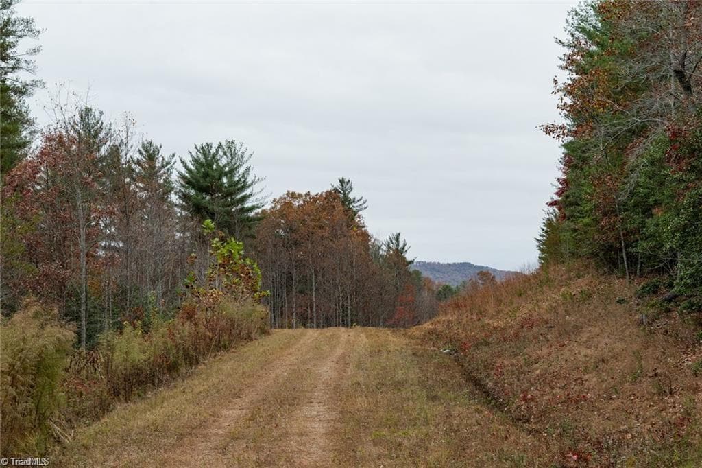 Unimproved Land at 0 TBD US Highway 421, Ferguson NC 28624, photo 14 of 42