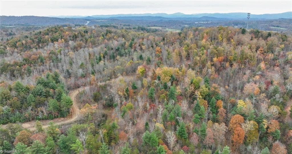 Unimproved Land at 0 TBD US Highway 421, Ferguson NC 28624, photo 41 of 42