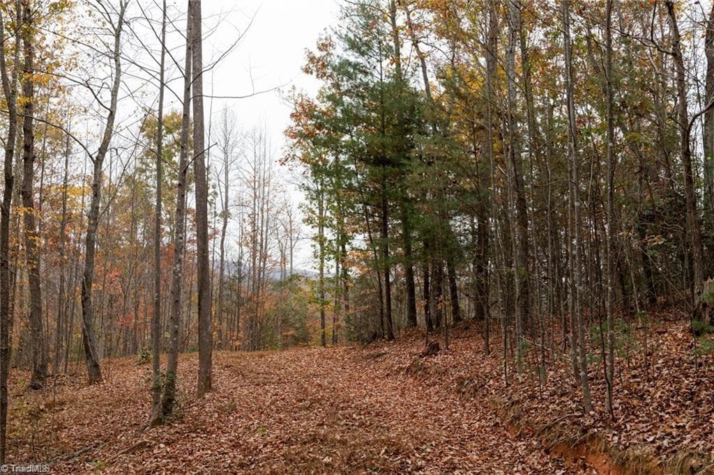 Unimproved Land at 0 TBD US Highway 421, Ferguson NC 28624, photo 18 of 42
