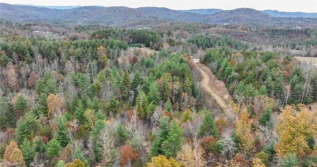 Unimproved Land at 0 TBD US Highway 421, Ferguson NC 28624, photo 37 of 42