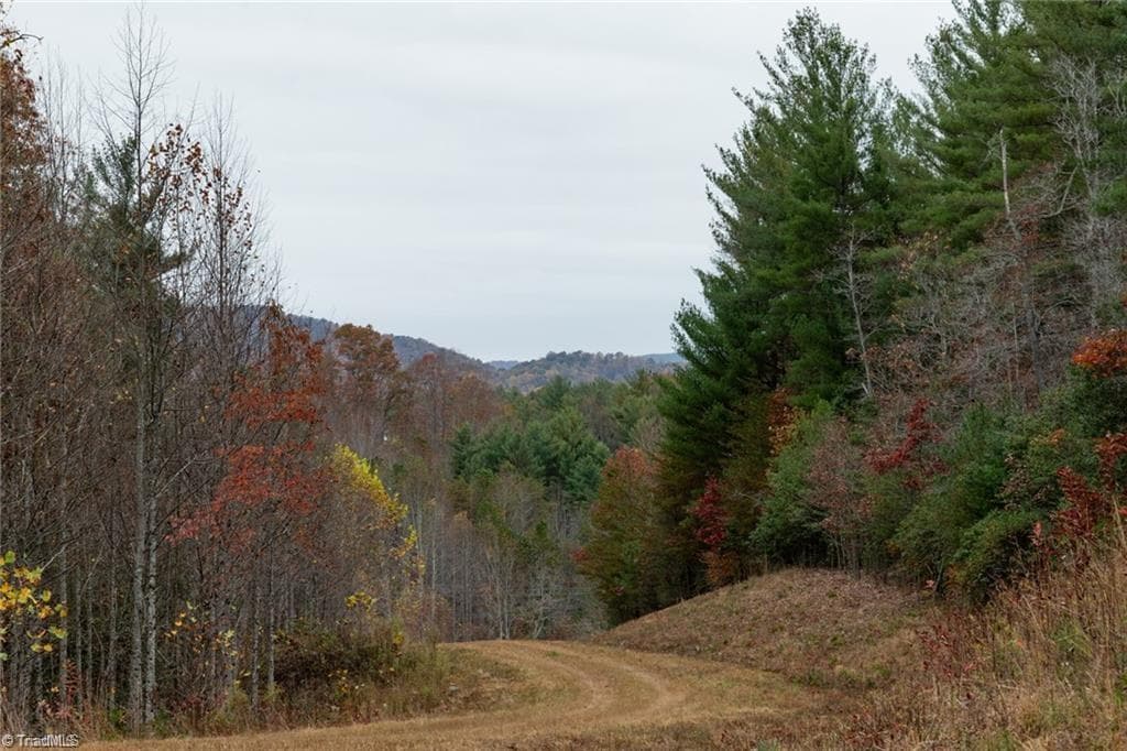Unimproved Land at 0 TBD US Highway 421, Ferguson NC 28624, photo 15 of 42