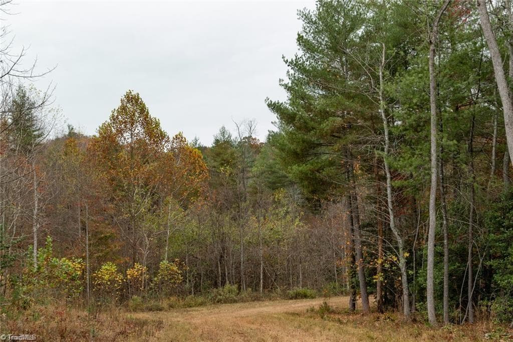 Unimproved Land at 0 TBD US Highway 421, Ferguson NC 28624, photo 11 of 42
