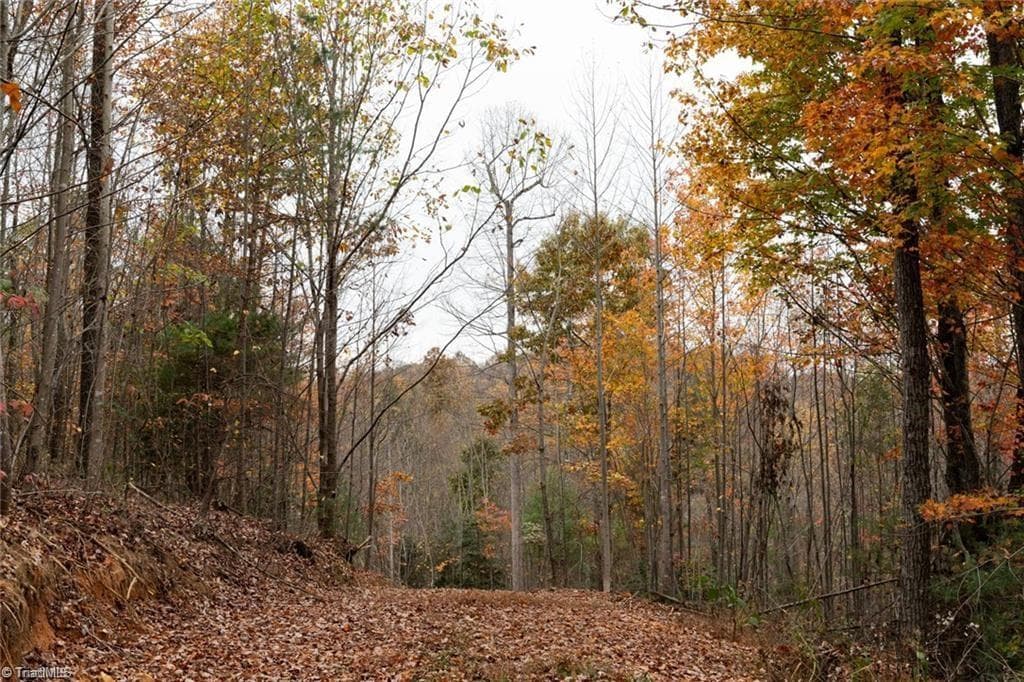 Unimproved Land at 0 TBD US Highway 421, Ferguson NC 28624, photo 19 of 42