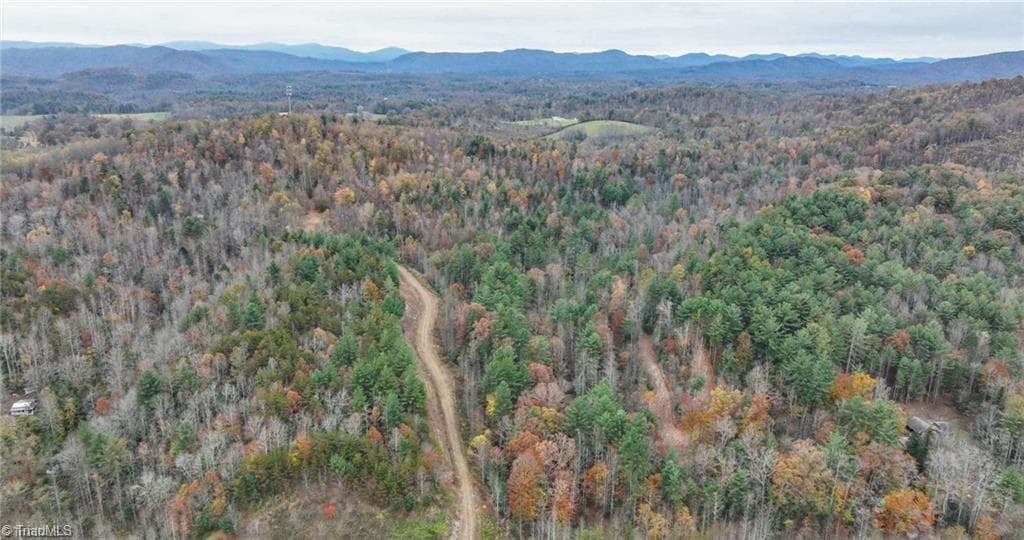 Unimproved Land at 0 TBD US Highway 421, Ferguson NC 28624, photo 40 of 42