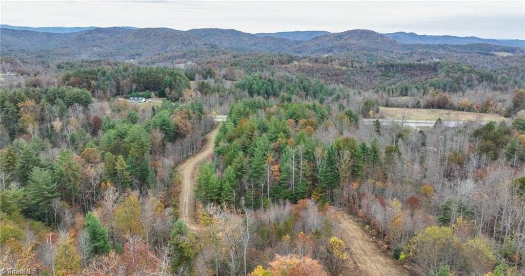 Unimproved Land at 0 TBD US Highway 421, Ferguson NC 28624, photo 35 of 42