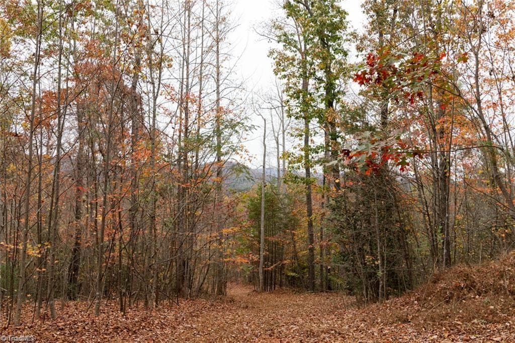 Unimproved Land at 0 TBD US Highway 421, Ferguson NC 28624, photo 31 of 42