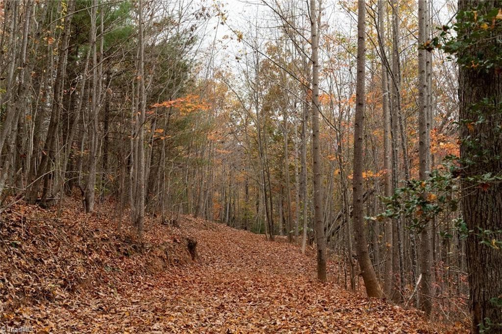 Unimproved Land at 0 TBD US Highway 421, Ferguson NC 28624, photo 29 of 42