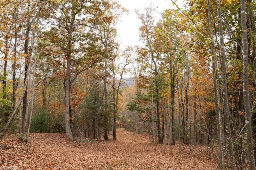Unimproved Land at 0 TBD US Highway 421, Ferguson NC 28624, photo 25 of 42