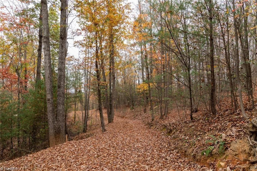 Unimproved Land at 0 TBD US Highway 421, Ferguson NC 28624, photo 21 of 42
