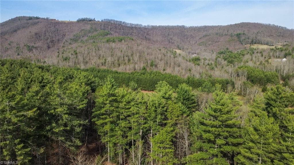 Stick/Site Built at 6414 Summit Road, Purlear NC 28665, photo 36 of 36