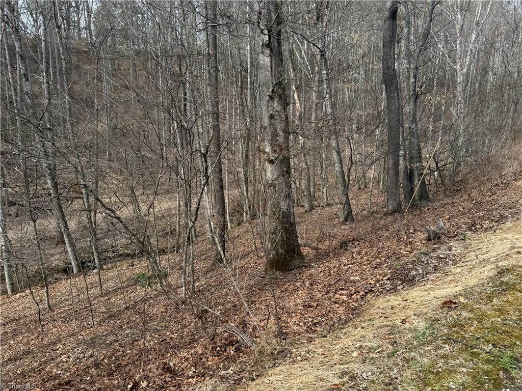 Single Family Residence at 45 Happy Ridge Road, Piney Creek NC 28631, photo 2 of 13