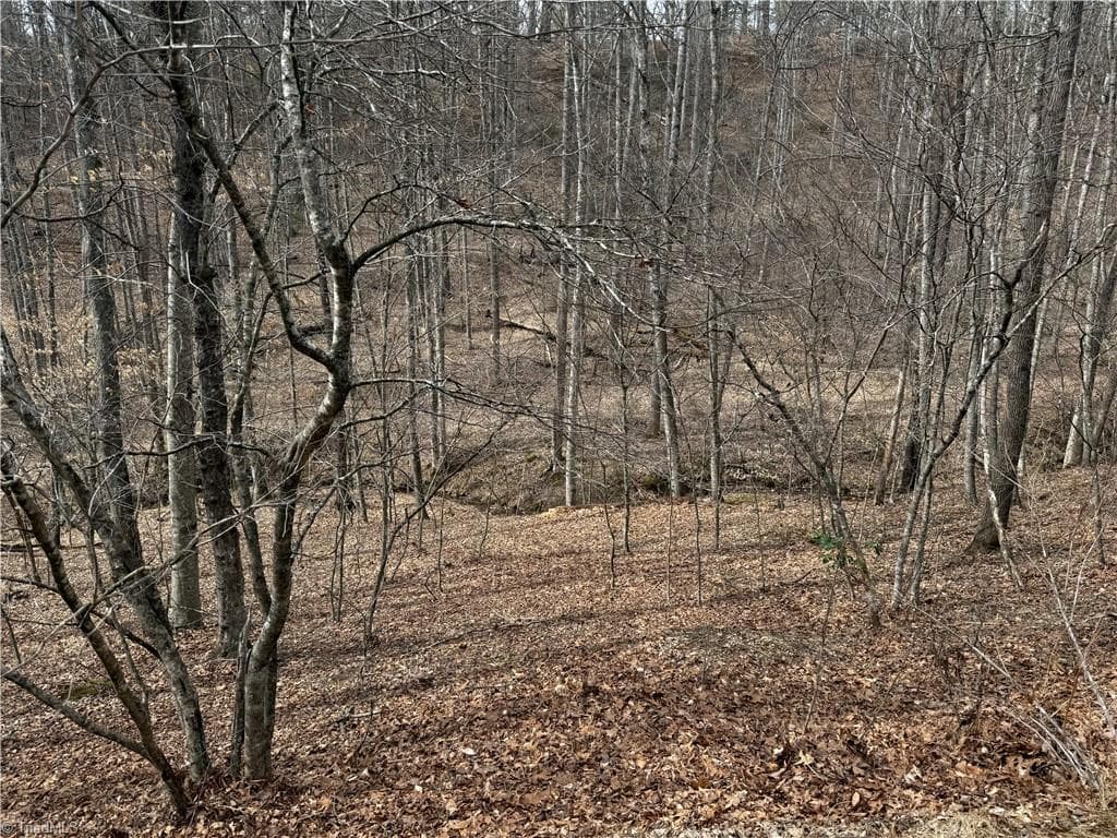 Single Family Residence at 45 Happy Ridge Road, Piney Creek NC 28631, photo 12 of 13