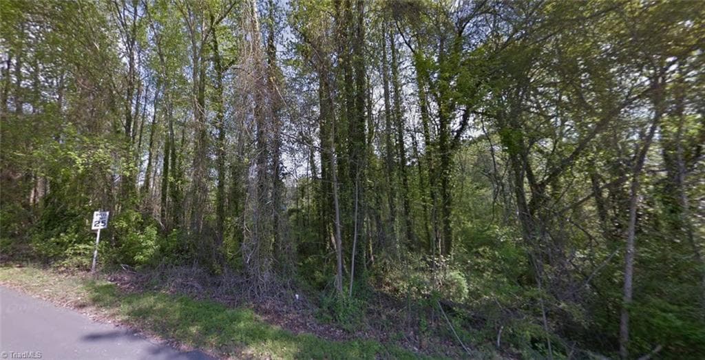Unimproved Land at 0 Charles Avenue # 35, Asheboro NC 27204, Asheboro, photo 2 of 6
