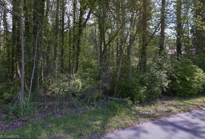 Unimproved Land at 0 Charles Avenue # 35, Asheboro NC 27204, Asheboro, photo 3 of 6