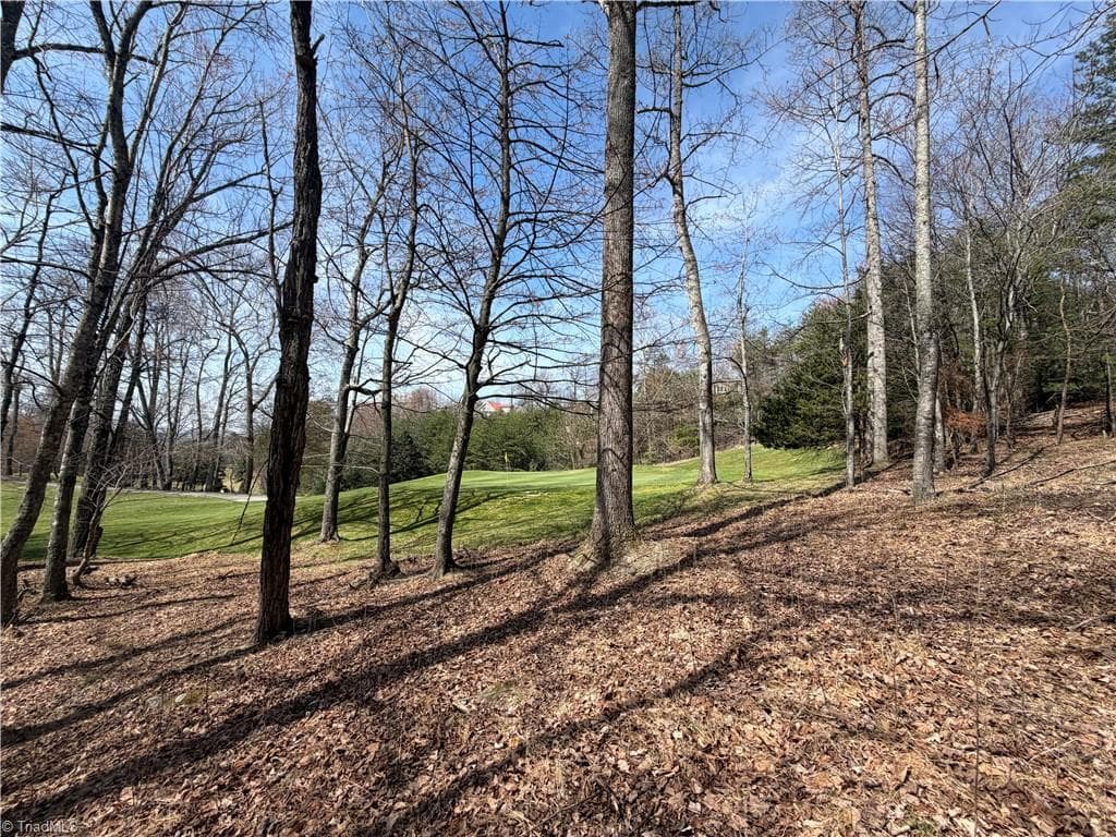 Resort at Lot 28 Greenstreet Drive, Traphill NC 28685, Traphill, photo 6 of 18
