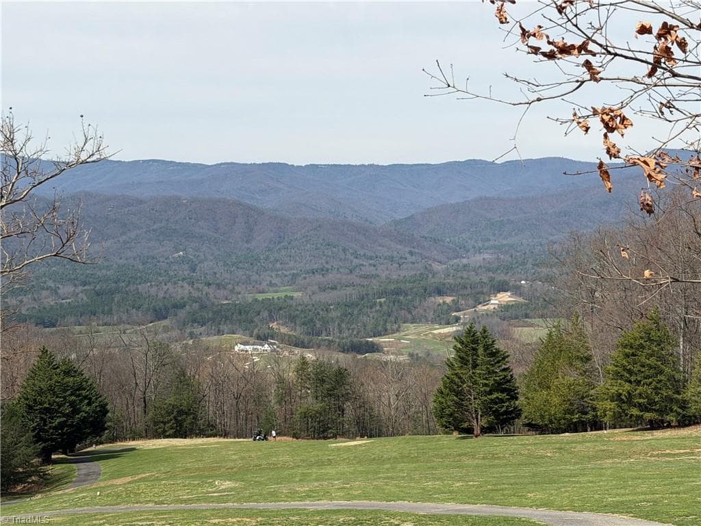 Resort at Lot 28 Greenstreet Drive, Traphill NC 28685, Traphill, photo 17 of 18