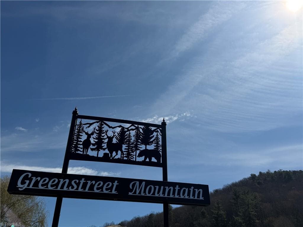 Resort at Lot 28 Greenstreet Drive, Traphill NC 28685, Traphill, photo 16 of 18