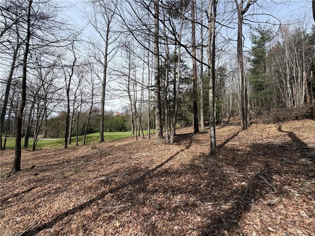 Resort at Lot 28 Greenstreet Drive, Traphill NC 28685, Traphill, photo 12 of 18