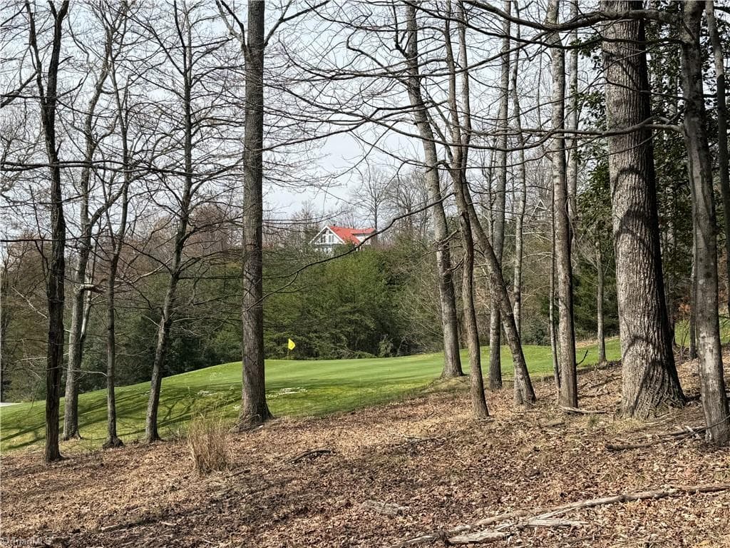 Resort at Lot 28 Greenstreet Drive, Traphill NC 28685, Traphill, photo 7 of 18