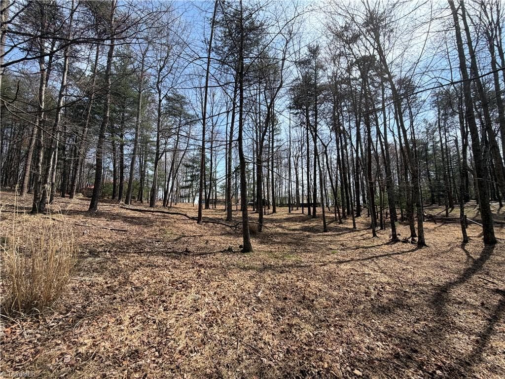 Resort at Lot 28 Greenstreet Drive, Traphill NC 28685, Traphill, photo 9 of 18