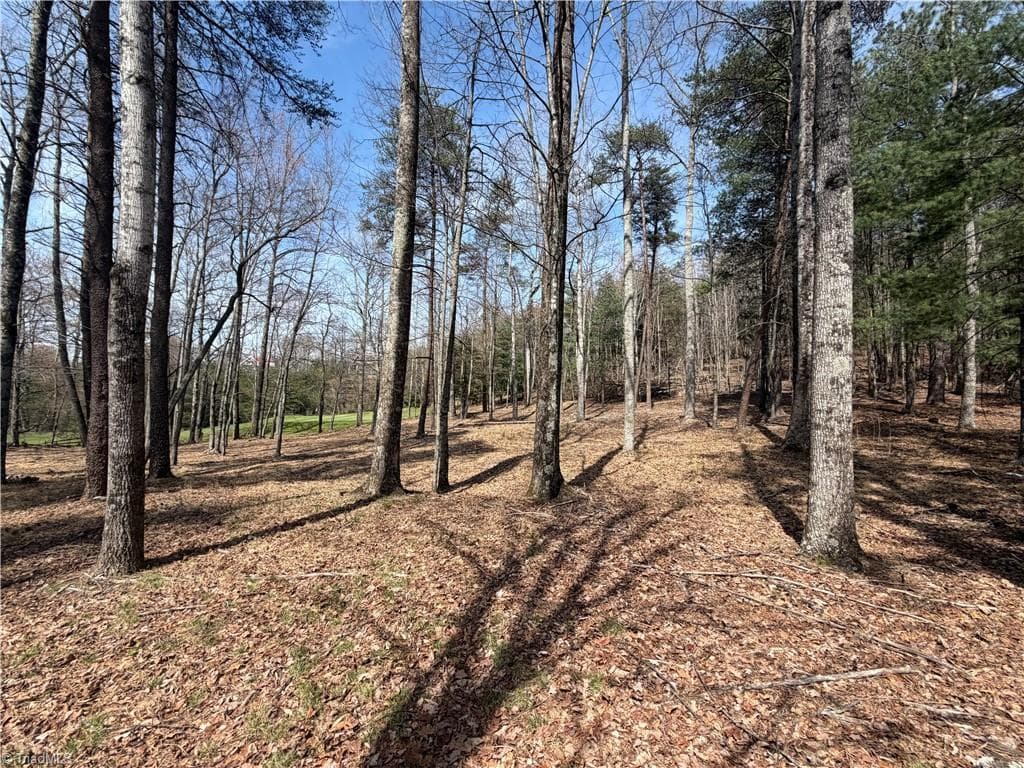 Resort at Lot 28 Greenstreet Drive, Traphill NC 28685, Traphill, photo 8 of 18