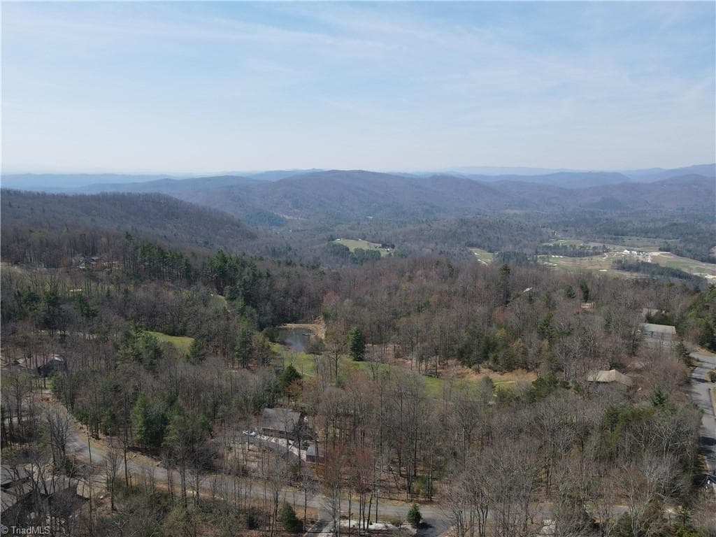 Resort at Lot 105 Greenstreet Drive, Traphill NC 28685, Traphill, photo 2 of 23