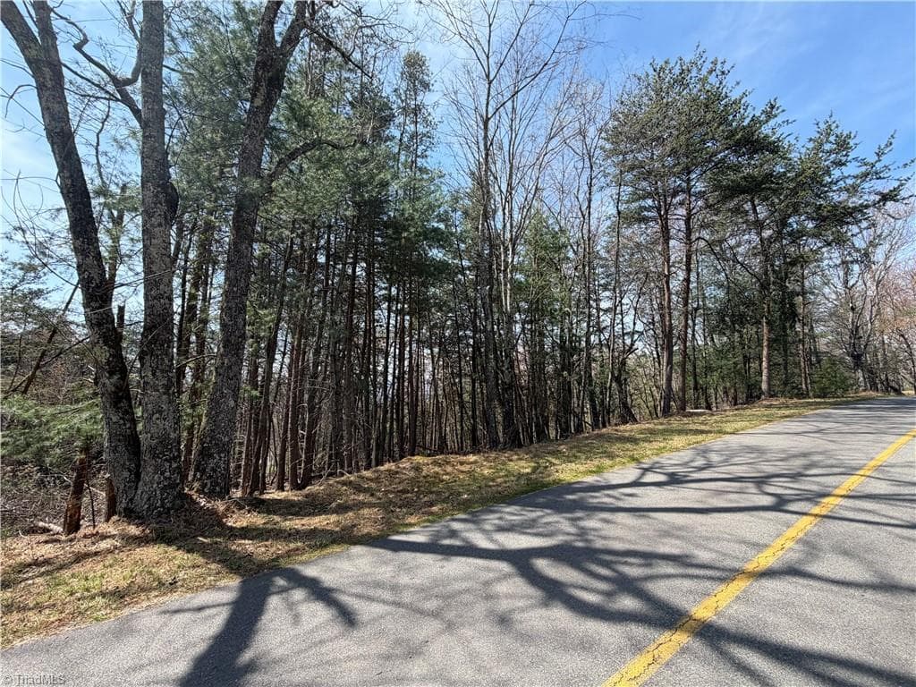 Resort at Lot 105 Greenstreet Drive, Traphill NC 28685, Traphill, photo 6 of 23