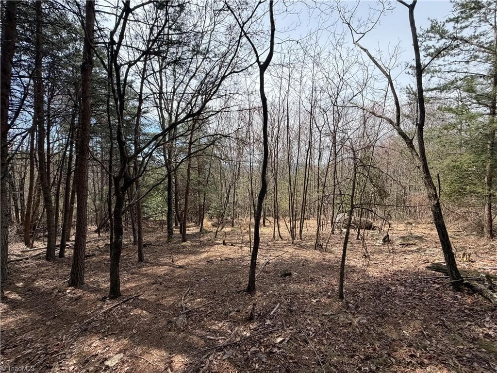 Resort at Lot 105 Greenstreet Drive, Traphill NC 28685, Traphill, photo 16 of 23
