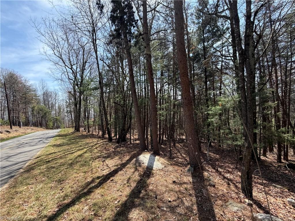 Resort at Lot 105 Greenstreet Drive, Traphill NC 28685, Traphill, photo 3 of 23