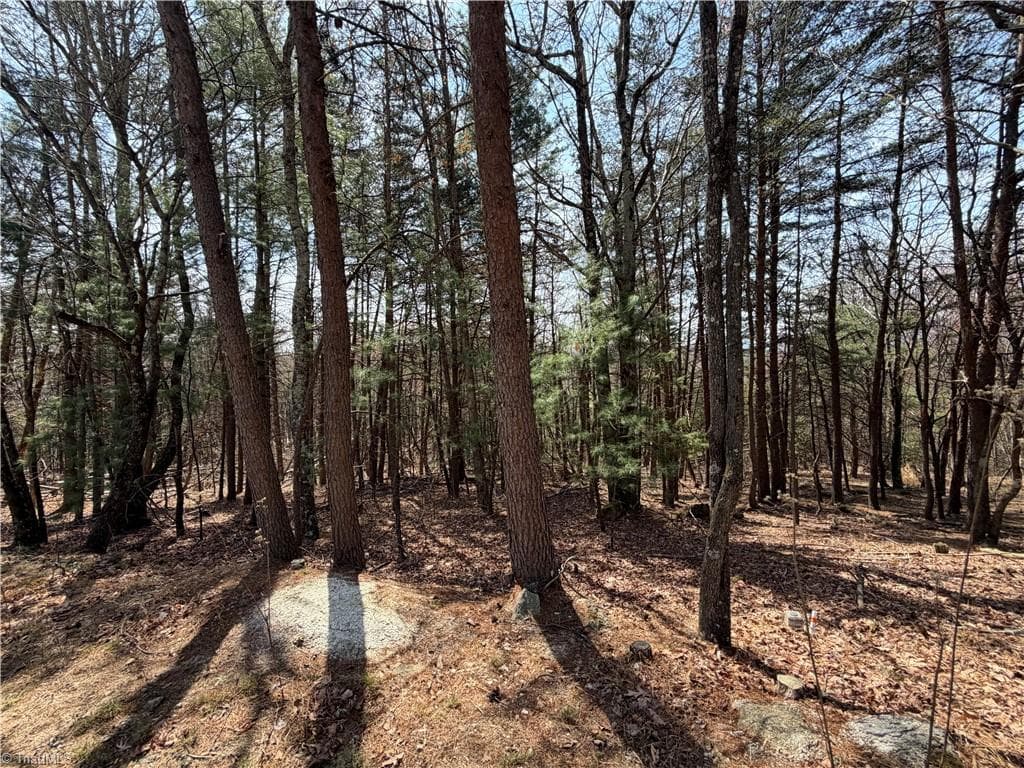 Resort at Lot 105 Greenstreet Drive, Traphill NC 28685, Traphill, photo 5 of 23