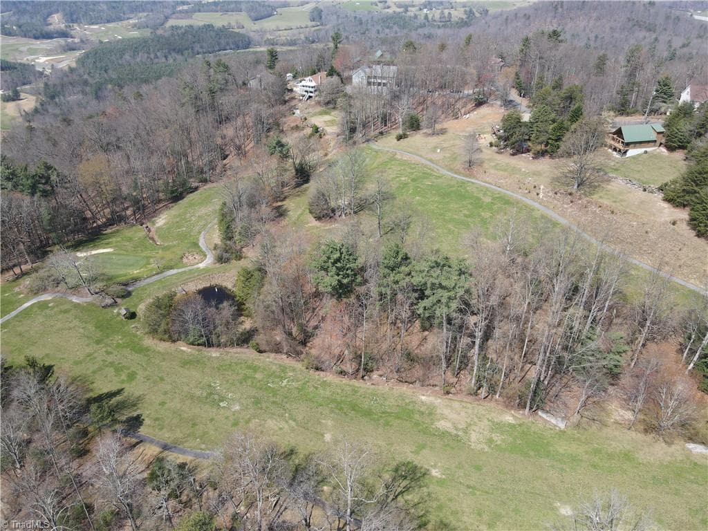 Resort at Lot 105 Greenstreet Drive, Traphill NC 28685, Traphill, photo 9 of 23