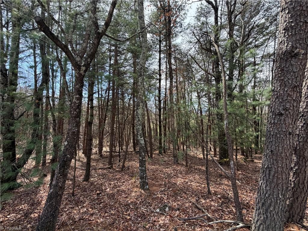 Resort at Lot 105 Greenstreet Drive, Traphill NC 28685, Traphill, photo 14 of 23