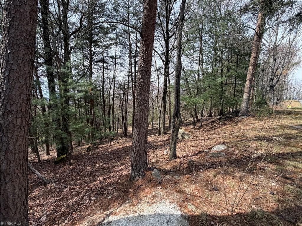 Resort at Lot 105 Greenstreet Drive, Traphill NC 28685, Traphill, photo 15 of 23
