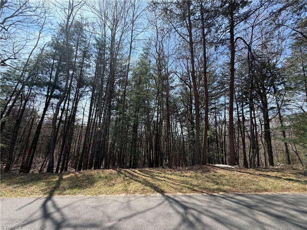 Resort at Lot 105 Greenstreet Drive, Traphill NC 28685, Traphill, photo 11 of 23